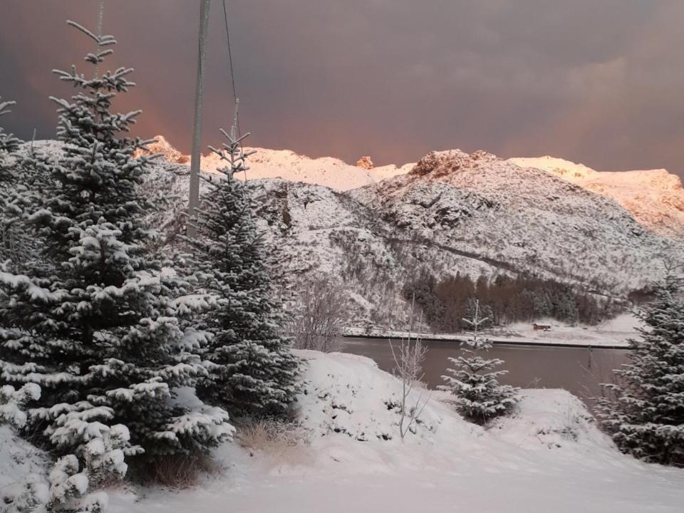 Rooms For Rent Bo (Nordland) Exterior foto